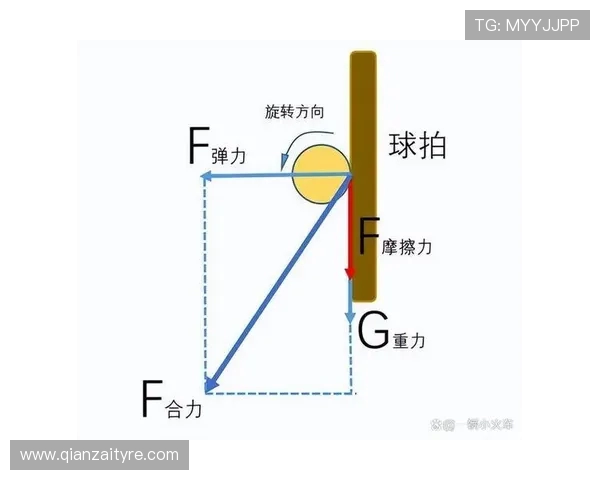 乒乓球运动的魅力与技术发展探索：从基础技巧到竞技水平的全面提升