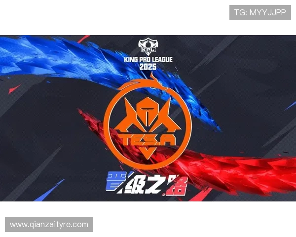 TES战队转型之路的得与失深度分析与展望