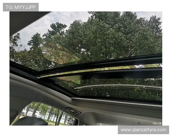 武汉飞盘队荣登全国飞盘意识排行榜第五名展现团队实力与潜力