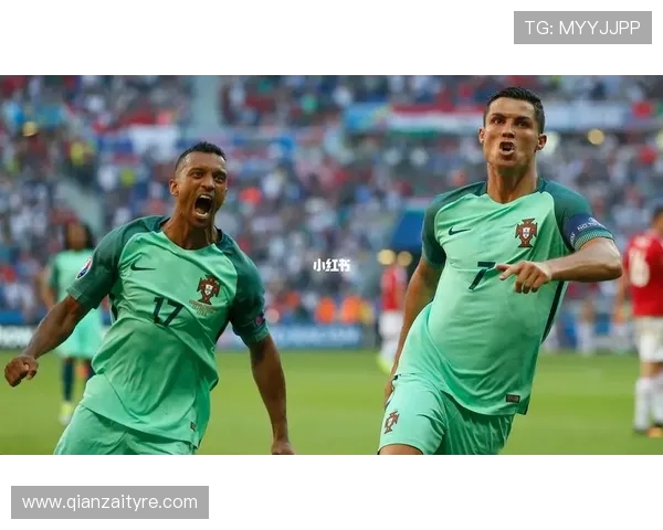 墨尔本鲨鱼对决墨尔本胜利激烈比赛引发球迷热议与期待